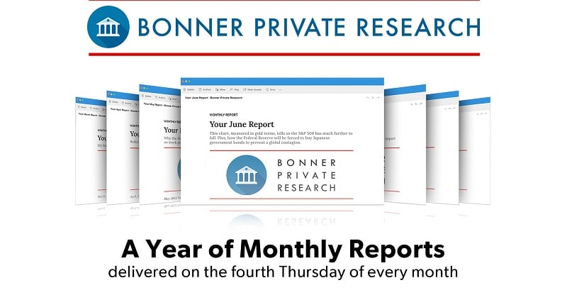 Bonner Private Research Review